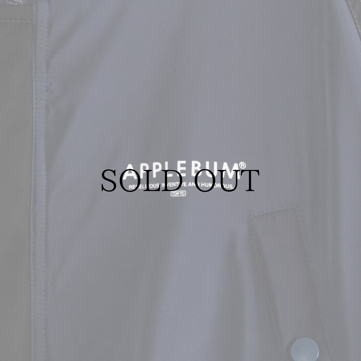 画像11: APPLEBUM(アップルバム) / "MONOCHROMATIC" N-3B JACKET (11)
