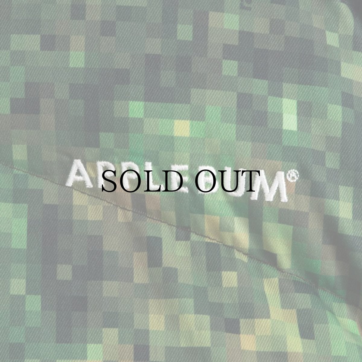 画像9: APPLEBUM(アップルバム) / "PIXEL CAMO" INNERCOTTON HOOD JACKET (9)