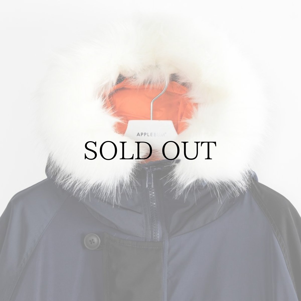 画像7: APPLEBUM(アップルバム) / "MONOCHROMATIC" N-3B JACKET (7)