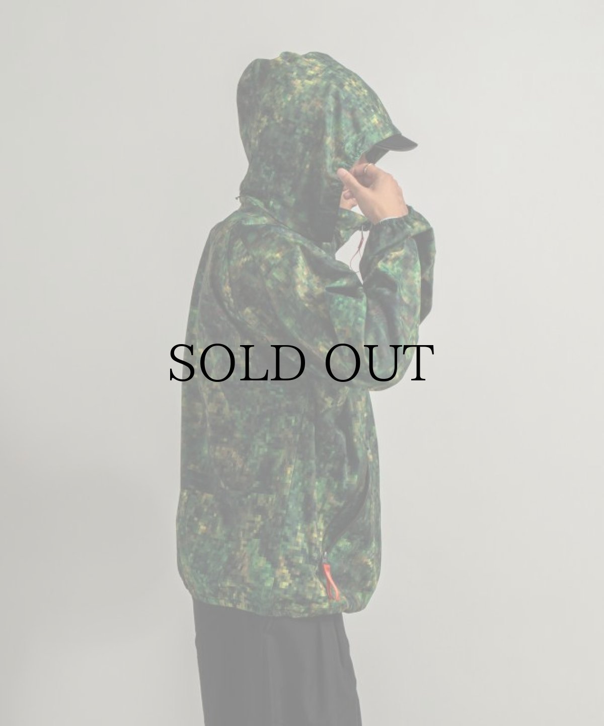 画像16: APPLEBUM(アップルバム) / "PIXEL CAMO" HIGH TECH HALF ZIP ANORAK (16)