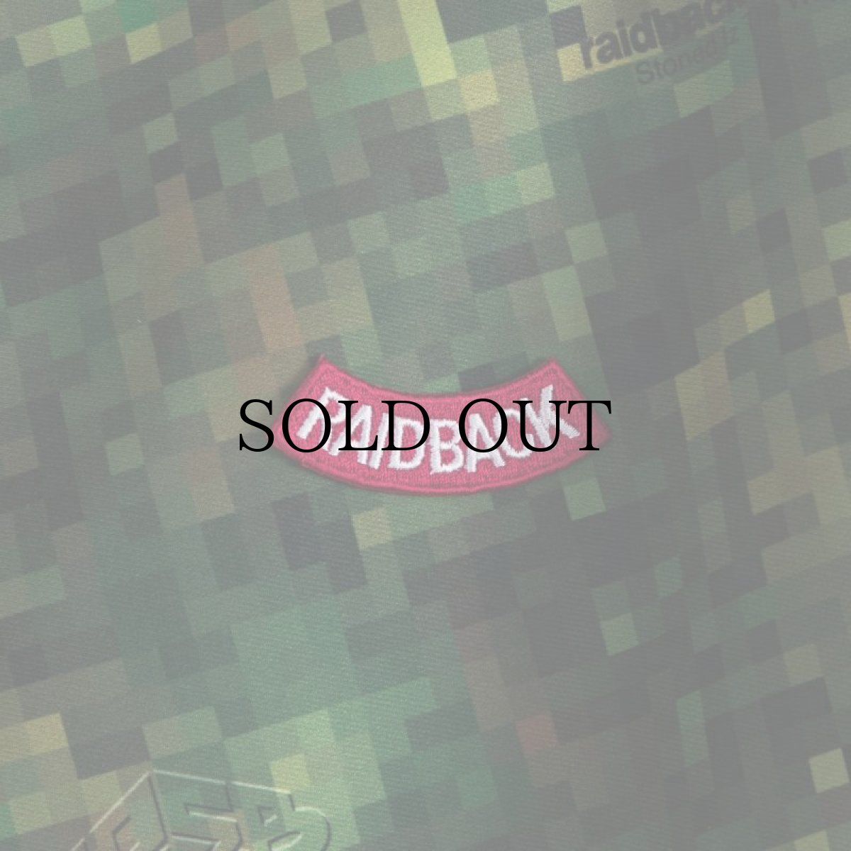 画像7: APPLEBUM(アップルバム) / "PIXEL CAMO" HIGH TECH HALF ZIP ANORAK (7)