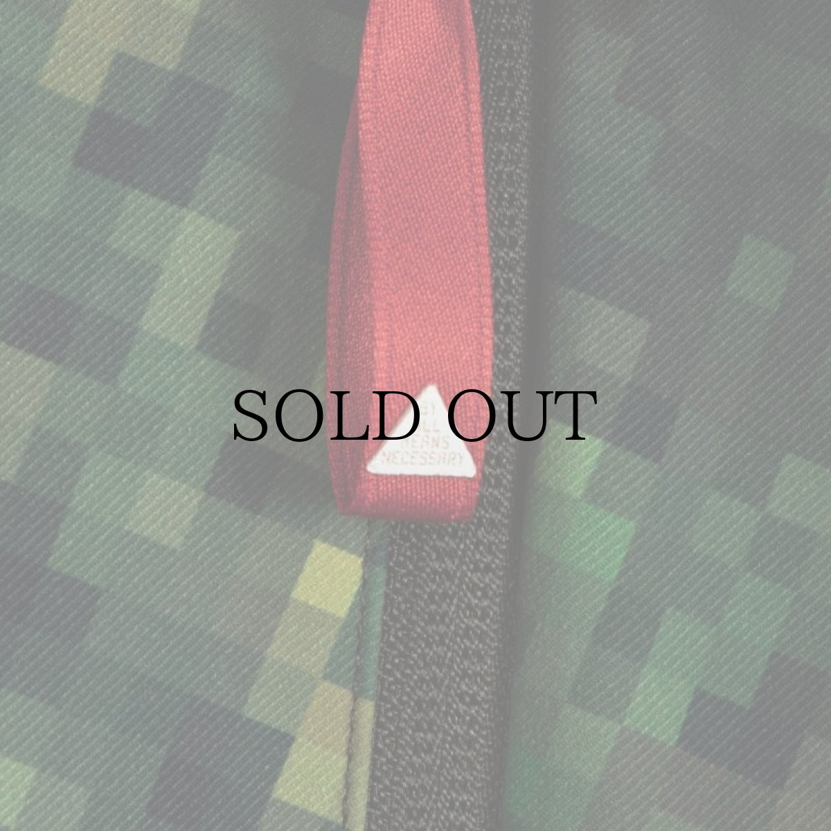 画像9: APPLEBUM(アップルバム) / "PIXEL CAMO" HIGH TECH HALF ZIP ANORAK (9)