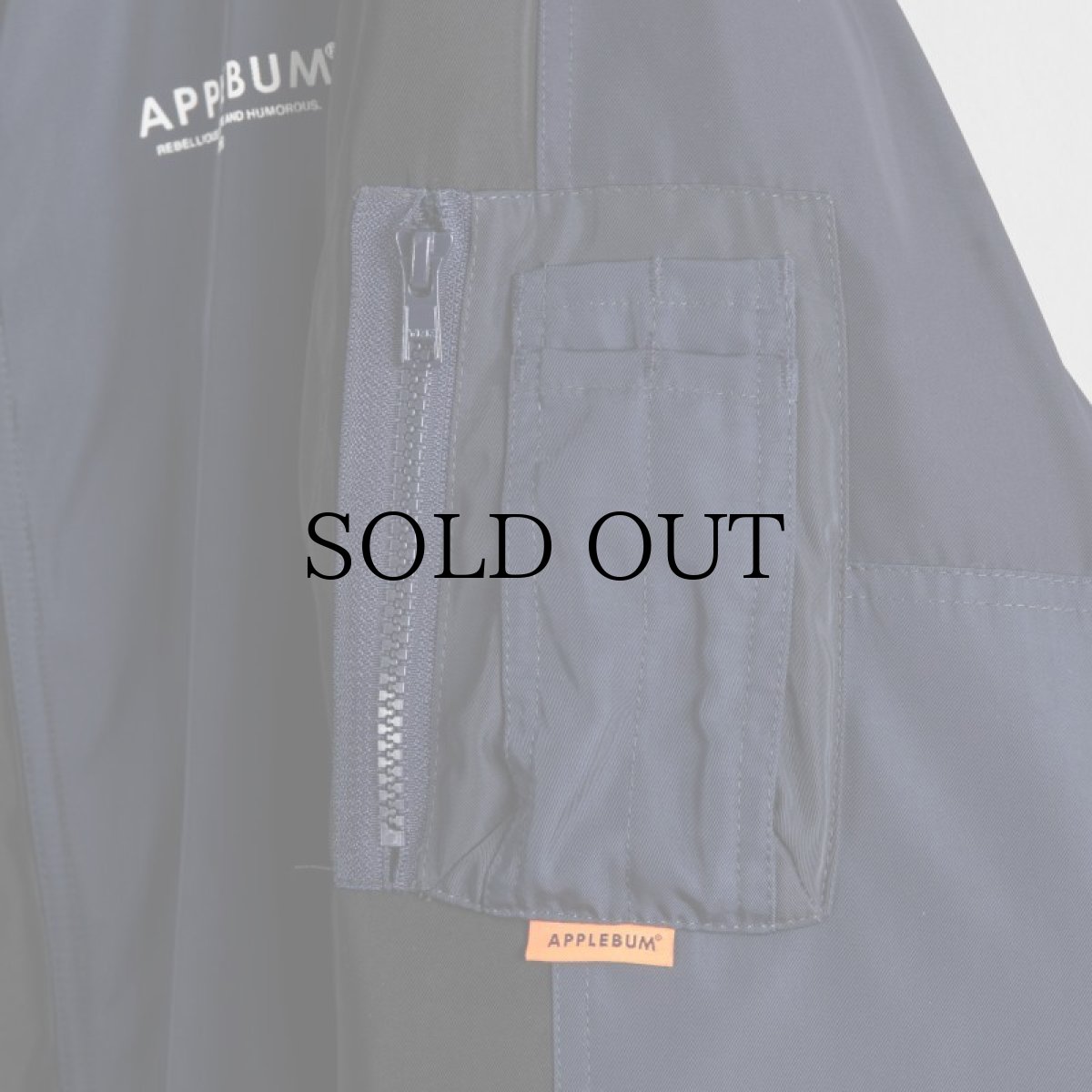 画像17: APPLEBUM(アップルバム) / "MONOCHROMATIC" N-3B JACKET (17)