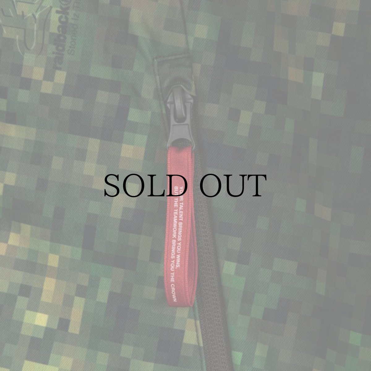 画像8: APPLEBUM(アップルバム) / "PIXEL CAMO" HIGH TECH HALF ZIP ANORAK (8)