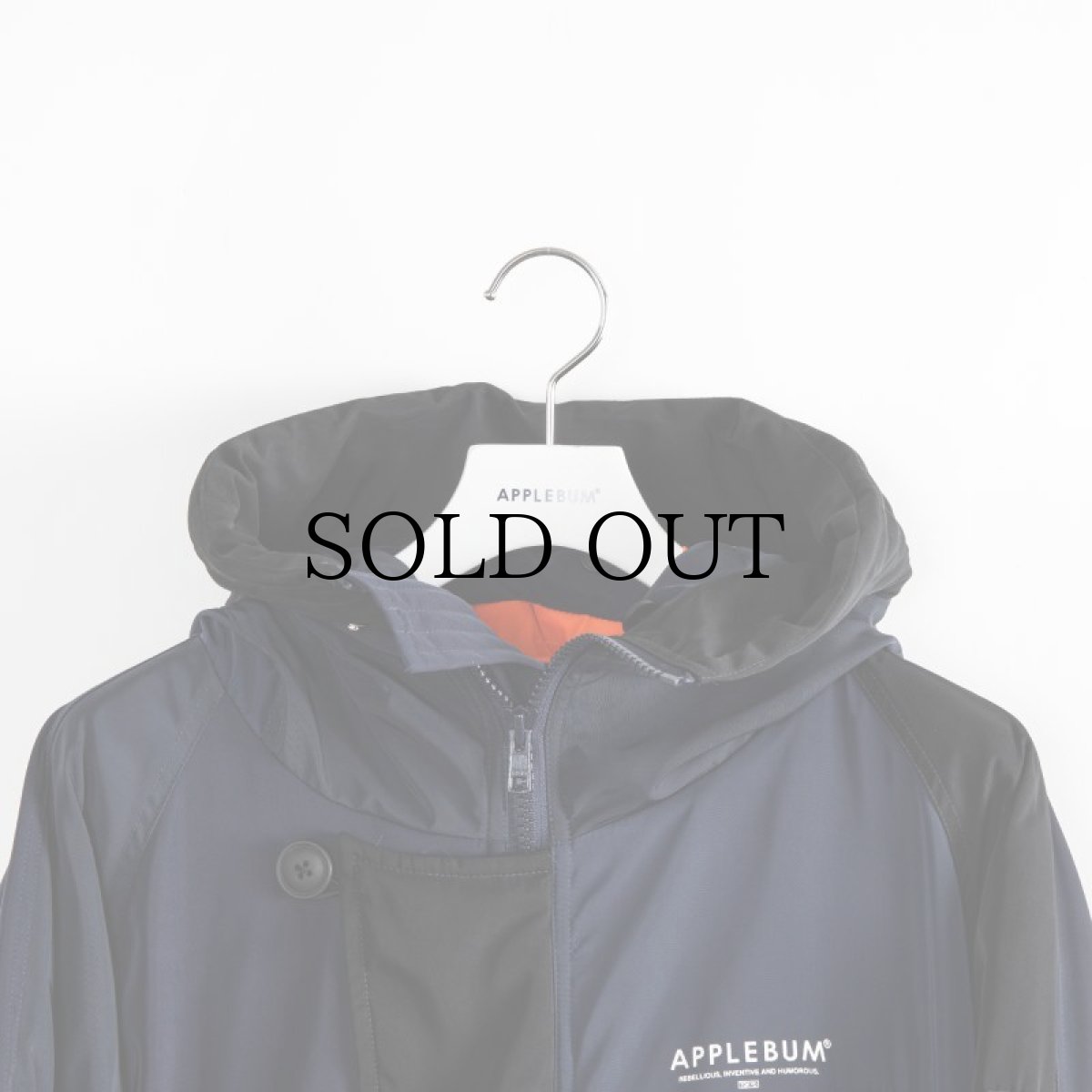 画像9: APPLEBUM(アップルバム) / "MONOCHROMATIC" N-3B JACKET (9)