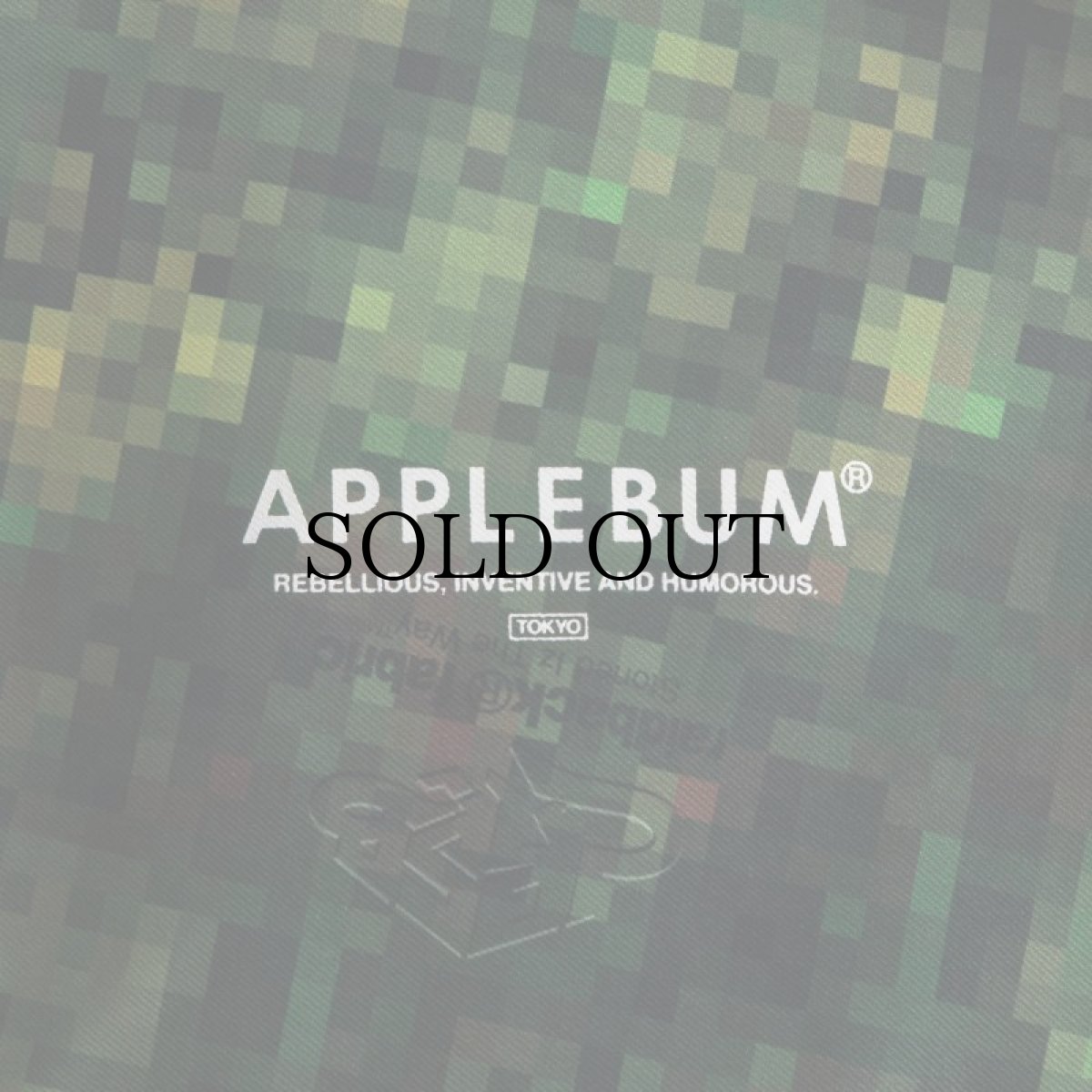 画像6: APPLEBUM(アップルバム) / "PIXEL CAMO" HIGH TECH HALF ZIP ANORAK (6)