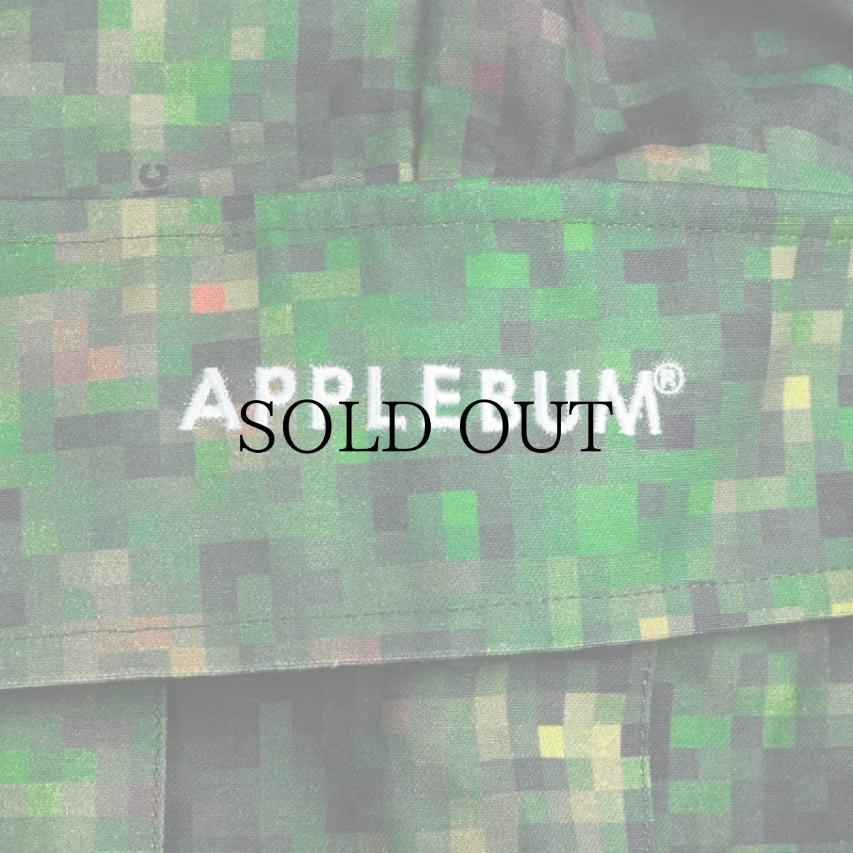 画像6: APPLEBUM(アップルバム) / "PIXEL CAMO" CARGO PANTS (6)