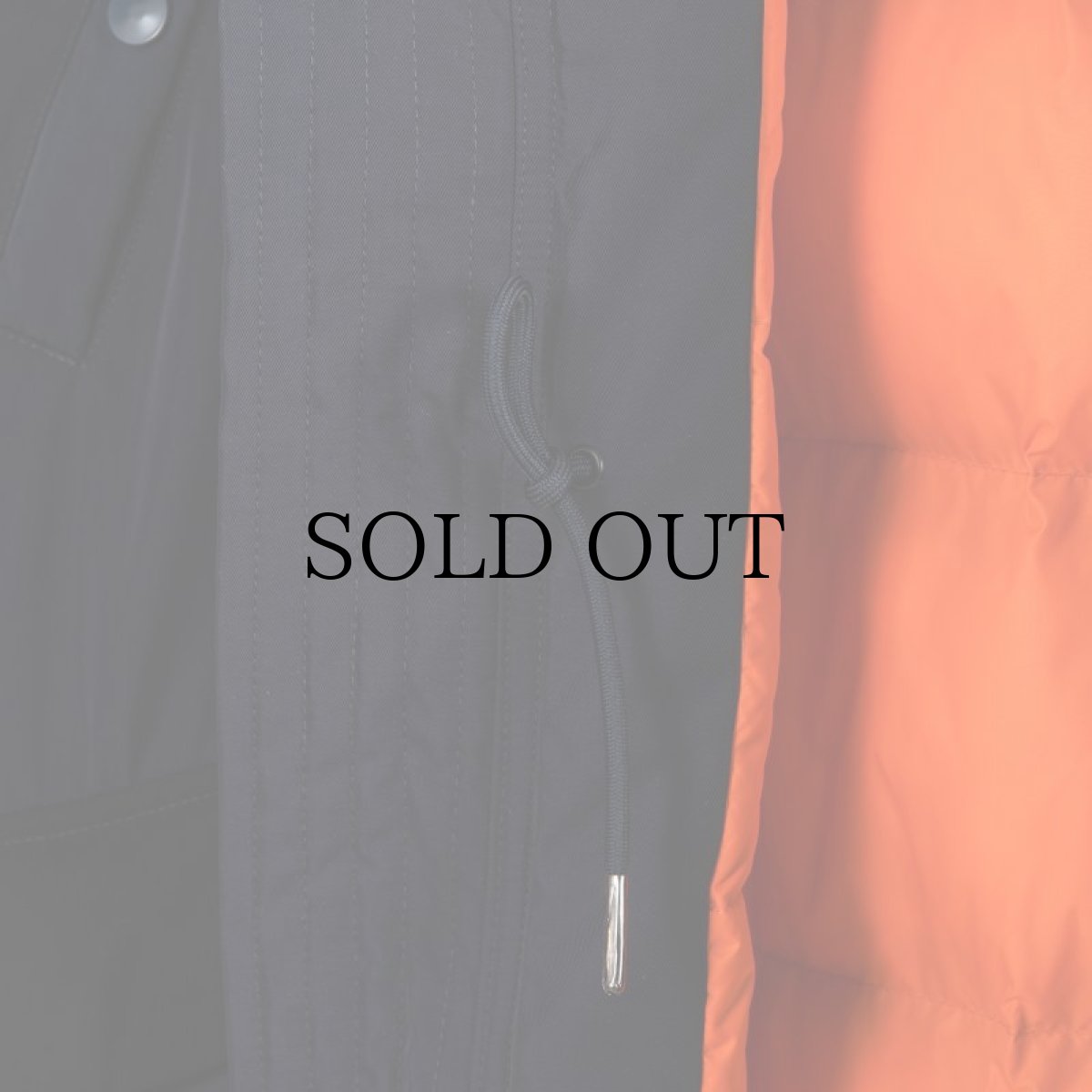 画像23: APPLEBUM(アップルバム) / "MONOCHROMATIC" N-3B JACKET (23)