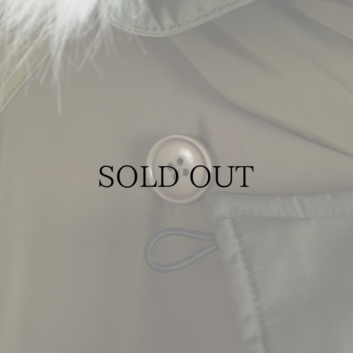 画像14: APPLEBUM(アップルバム) / "MONOCHROMATIC" N-3B JACKET (14)