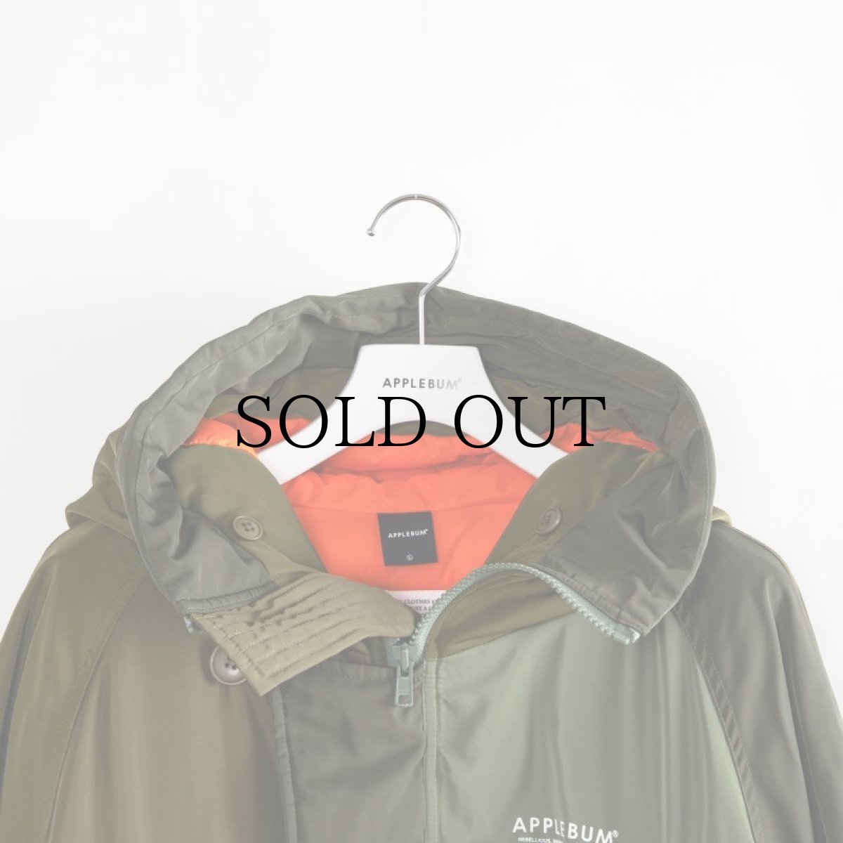 画像10: APPLEBUM(アップルバム) / "MONOCHROMATIC" N-3B JACKET (10)