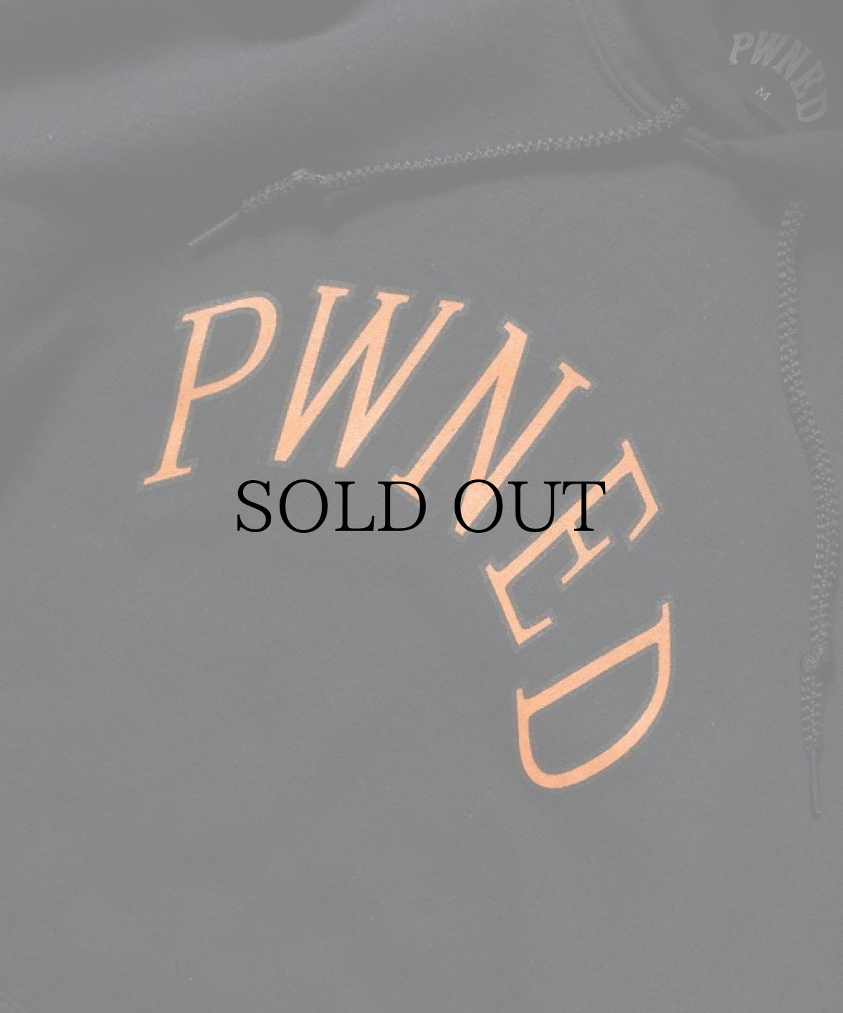 画像9: PWNED(パウンド) / AUTHENTIC LOGO HOODIE (9)