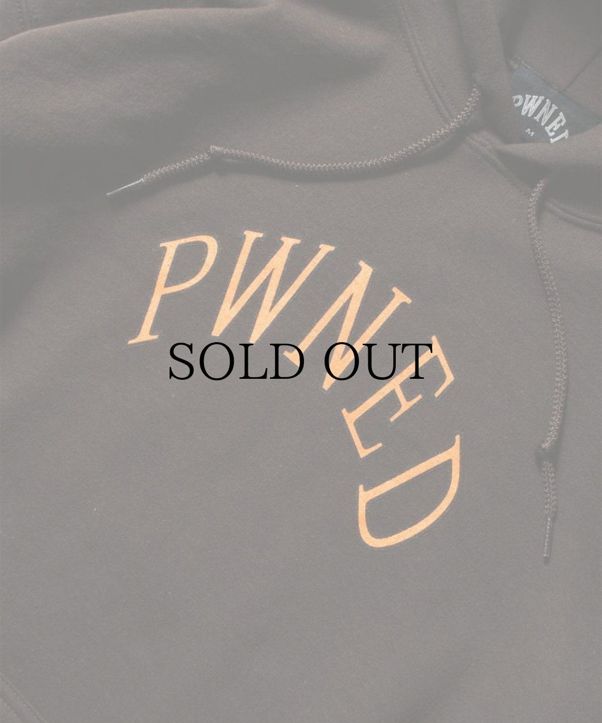 画像5: PWNED(パウンド) / AUTHENTIC LOGO HOODIE (5)