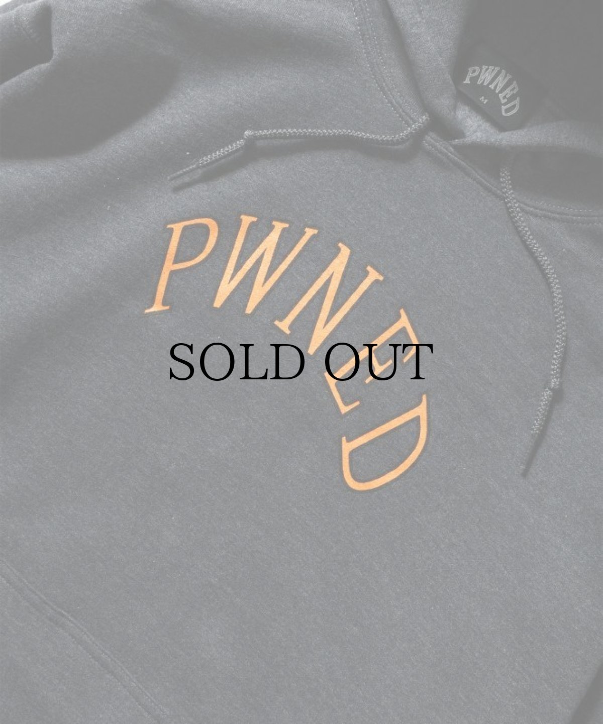 画像7: PWNED(パウンド) / AUTHENTIC LOGO HOODIE (7)