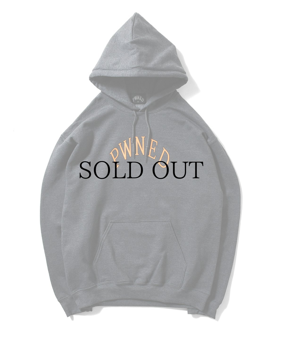 画像3: PWNED(パウンド) / AUTHENTIC LOGO HOODIE (3)