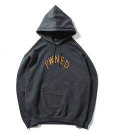 画像3: PWNED(パウンド) / AUTHENTIC LOGO HOODIE (3)