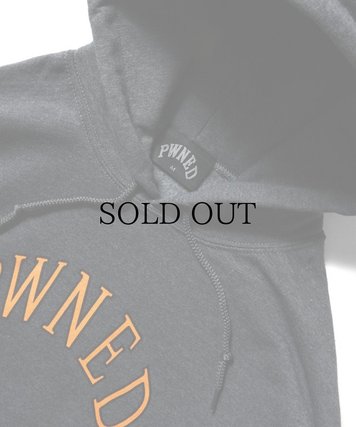 画像8: PWNED(パウンド) / AUTHENTIC LOGO HOODIE (8)