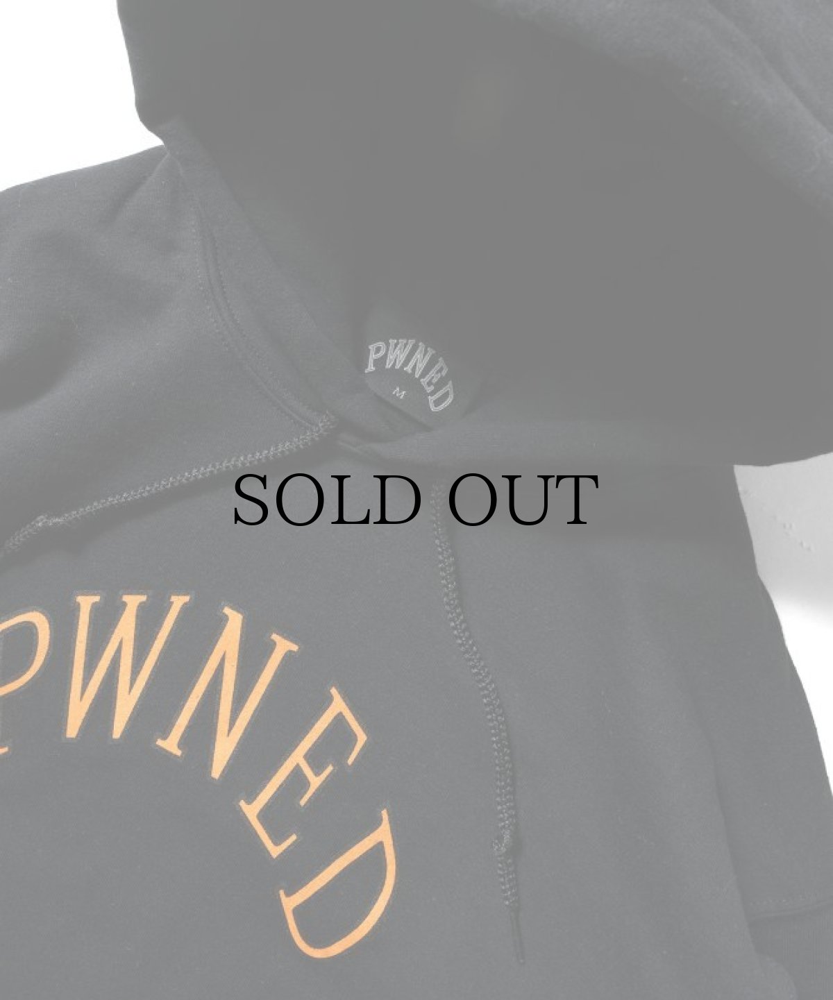 画像10: PWNED(パウンド) / AUTHENTIC LOGO HOODIE (10)