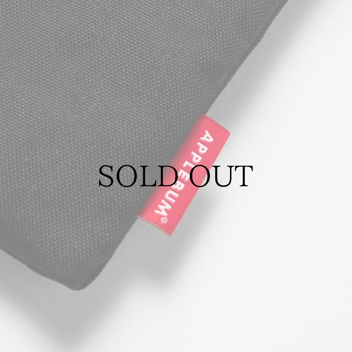 画像4: APPLEBUM(アップルバム) / CORDURA  Neck Pouch (4)