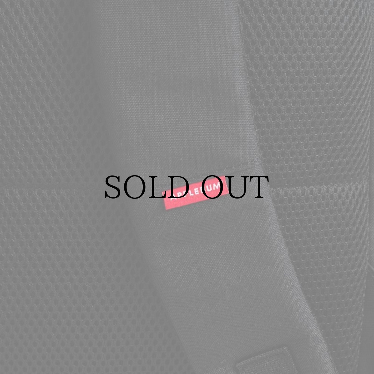 画像8: APPLEBUM(アップルバム) / CORDURA CYBER CITY BACKPACK (8)