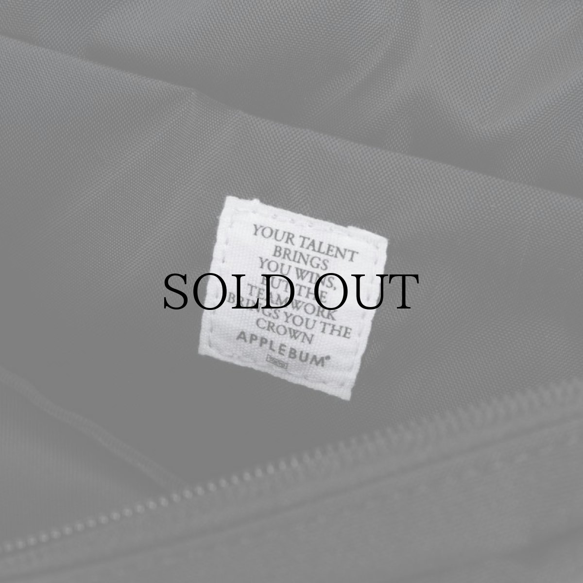 画像8: APPLEBUM(アップルバム) / CORDURA SQUARE WAIST BAG (8)