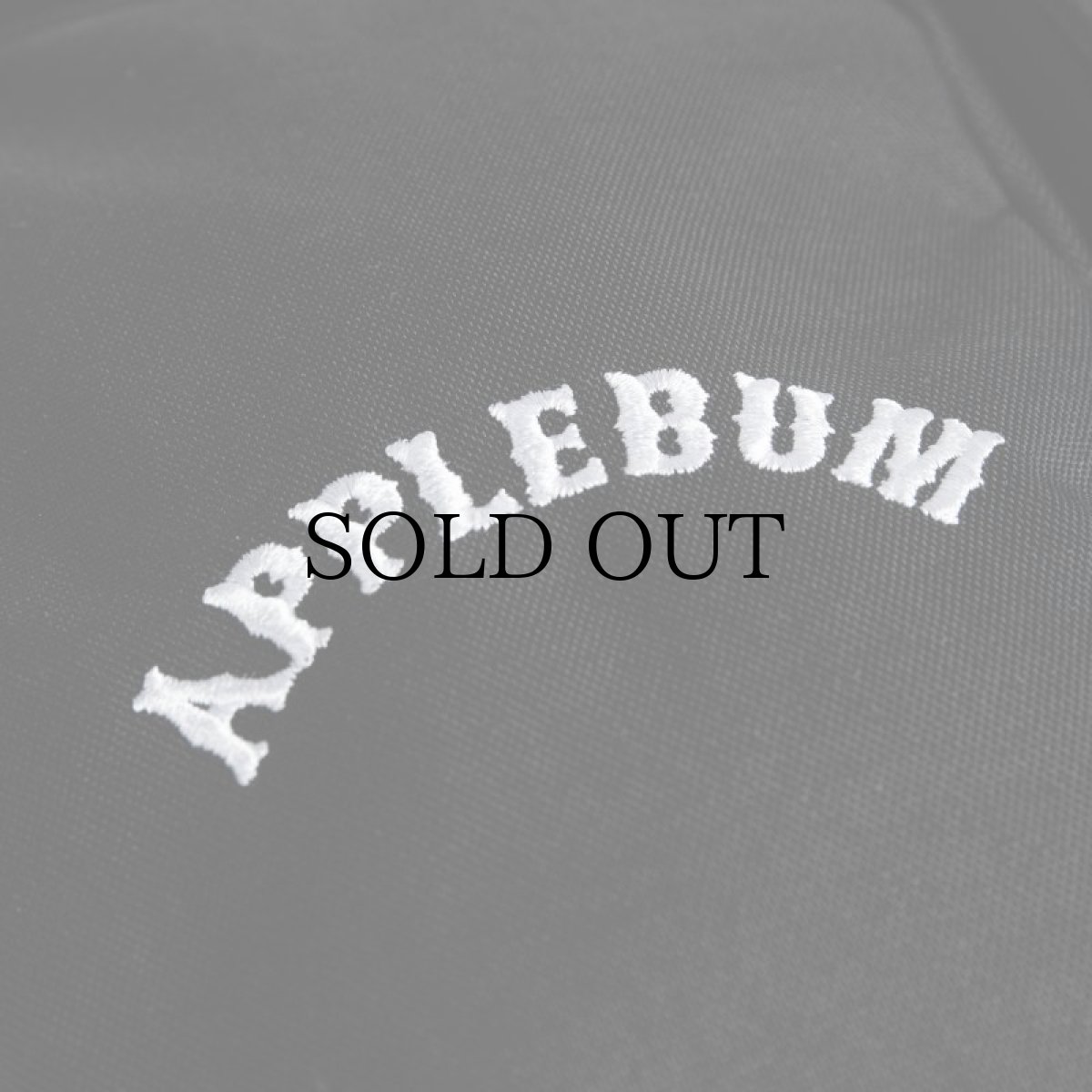 画像5: APPLEBUM(アップルバム) / CORDURA CYBER CITY BACKPACK (5)