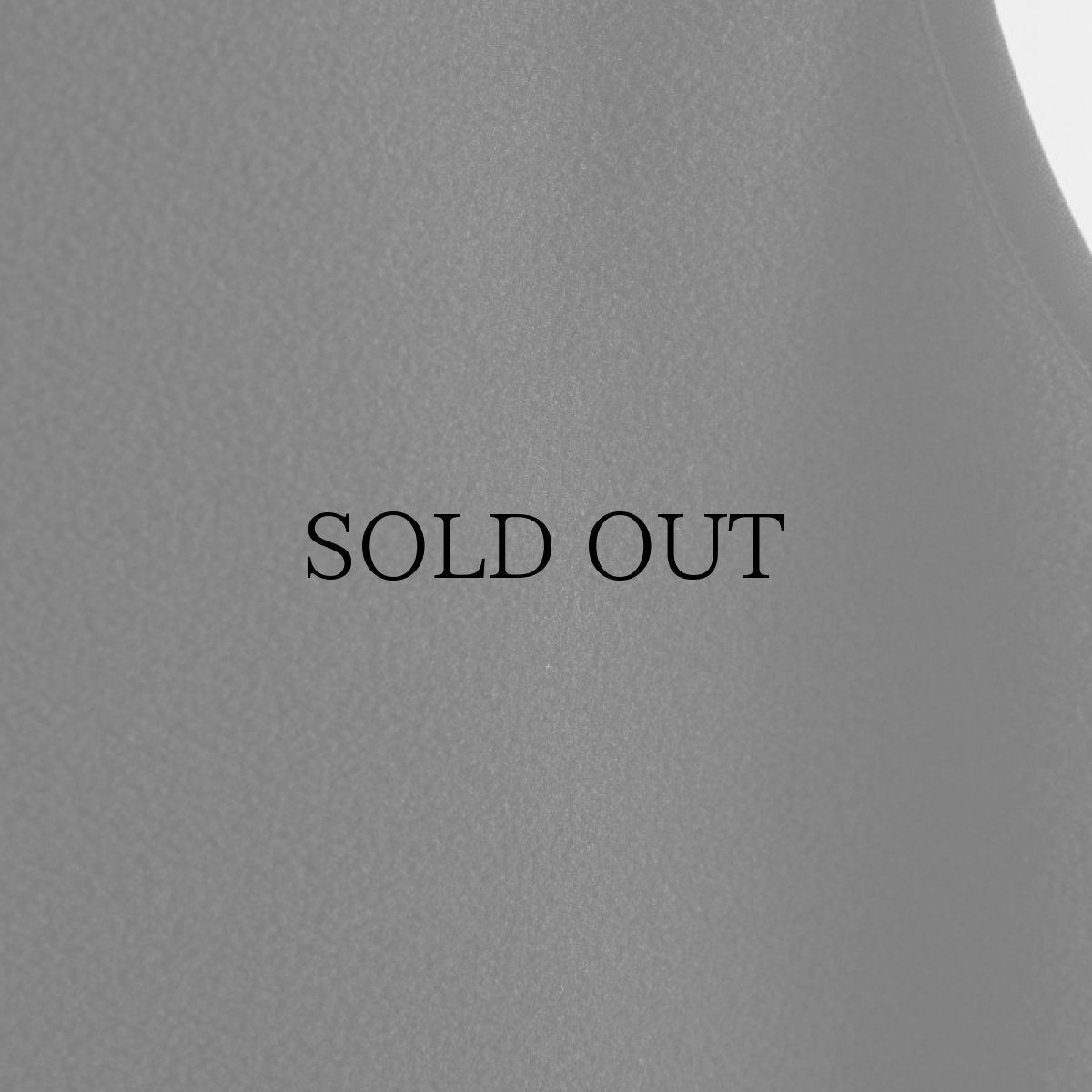 画像10: APPLEBUM(アップルバム) / FLEECE VEST (10)