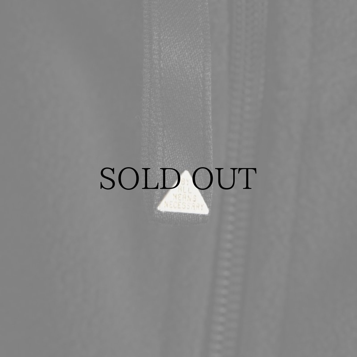 画像5: APPLEBUM(アップルバム) / FLEECE VEST (5)