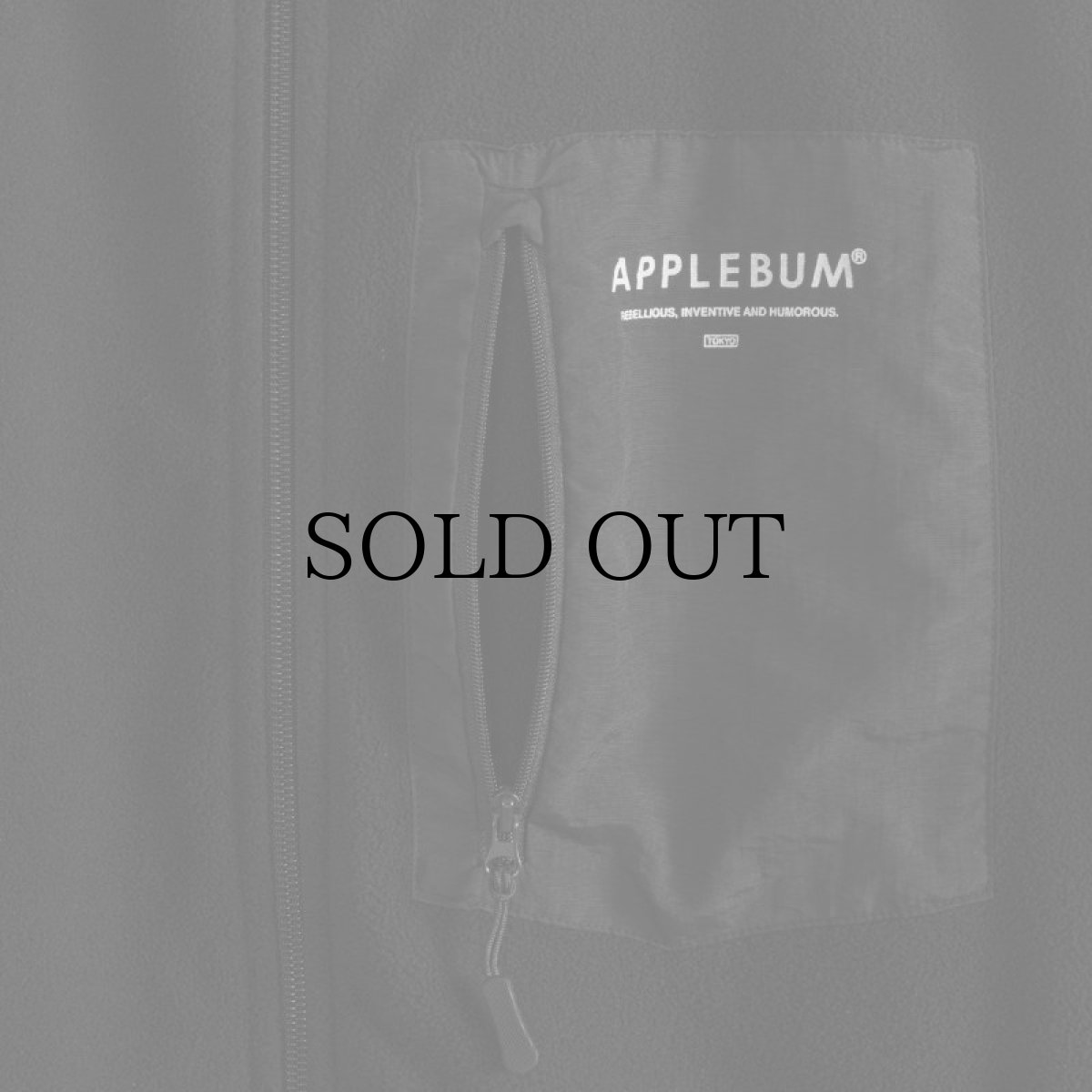 画像7: APPLEBUM(アップルバム) / FLEECE VEST (7)