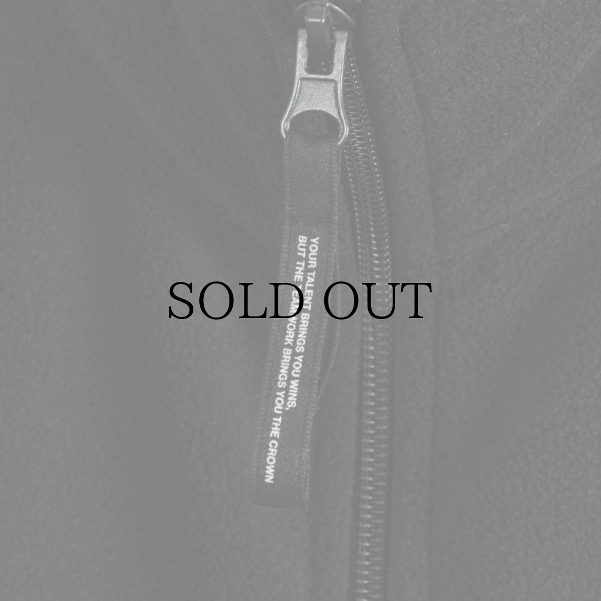 画像4: APPLEBUM(アップルバム) / FLEECE VEST (4)