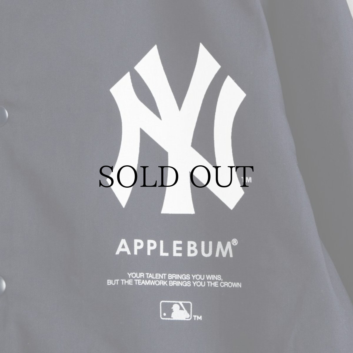 画像5: APPLEBUM(アップルバム) / "NEWYORK YANKEES BOY" COACH JACKET (5)