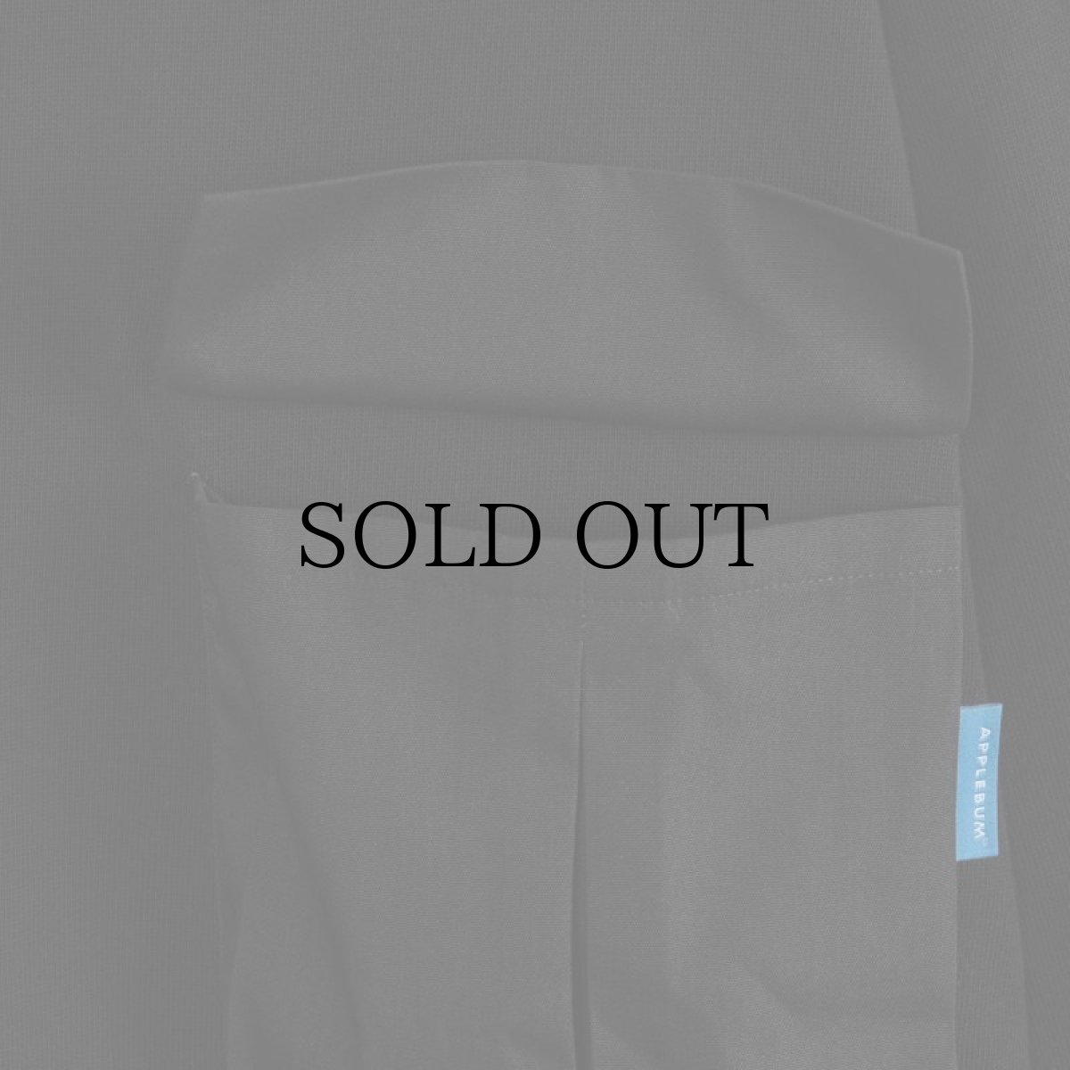 画像9: APPLEBUM(アップルバム) / BIG POCKET HEAVY WEIGHT L/S T-SHIRT (9)