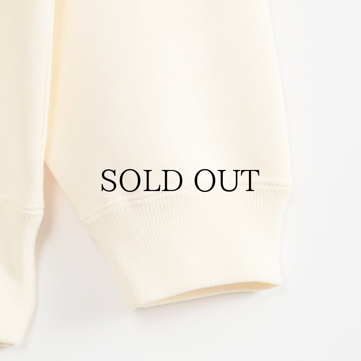 画像12: APPLEBUM(アップルバム) / REAL TREE CAMO AB SWEAT PARKA (12)