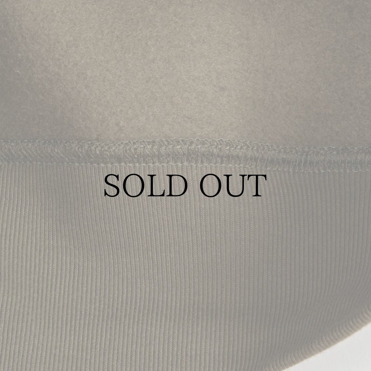 画像15: APPLEBUM(アップルバム) / REAL TREE CAMO AB SWEAT PARKA (15)