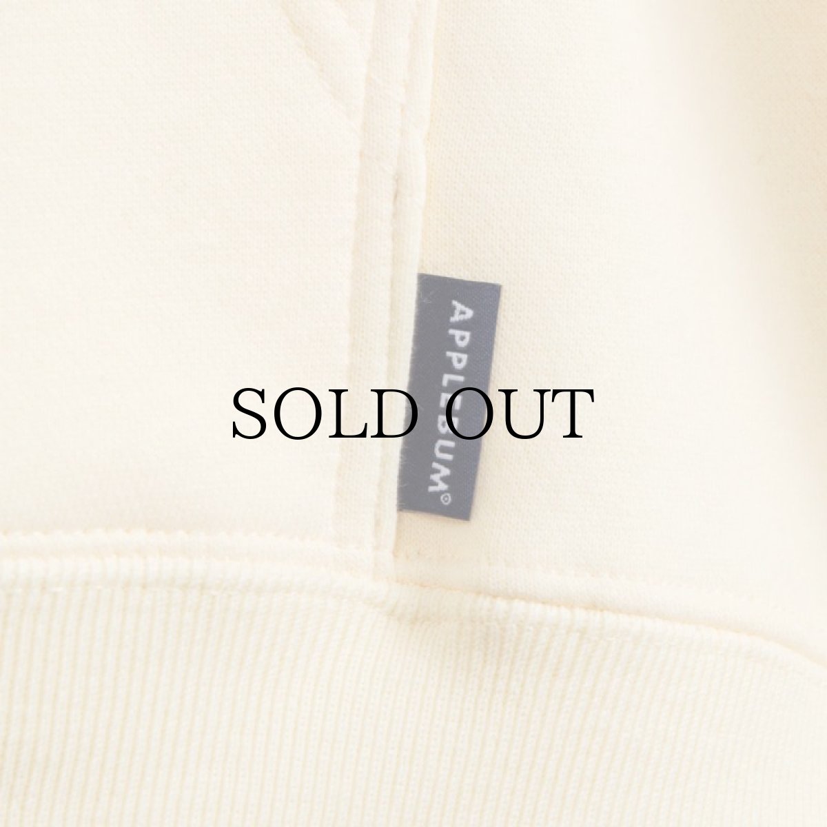 画像14: APPLEBUM(アップルバム) / REAL TREE CAMO AB SWEAT PARKA (14)