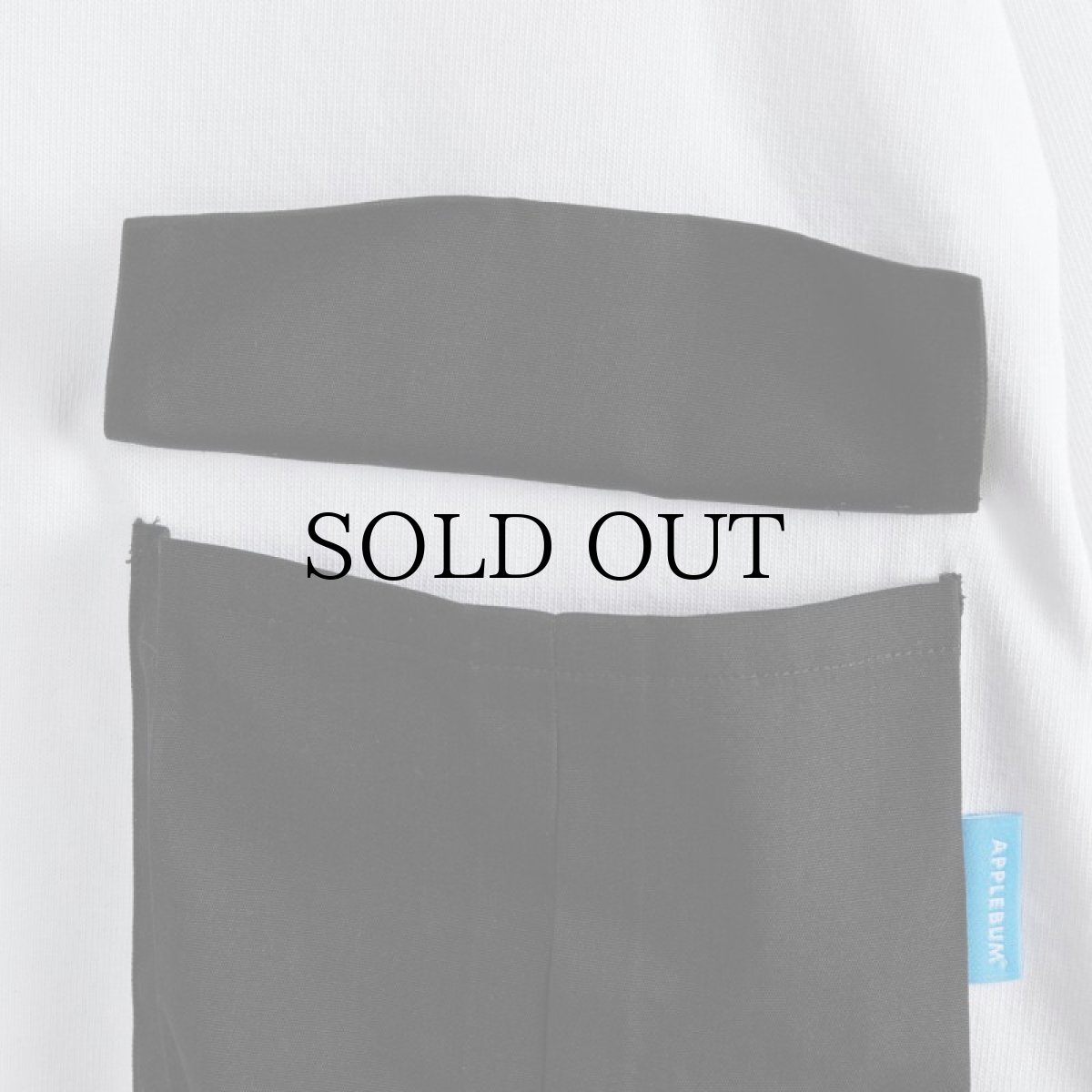 画像10: APPLEBUM(アップルバム) / BIG POCKET HEAVY WEIGHT L/S T-SHIRT (10)