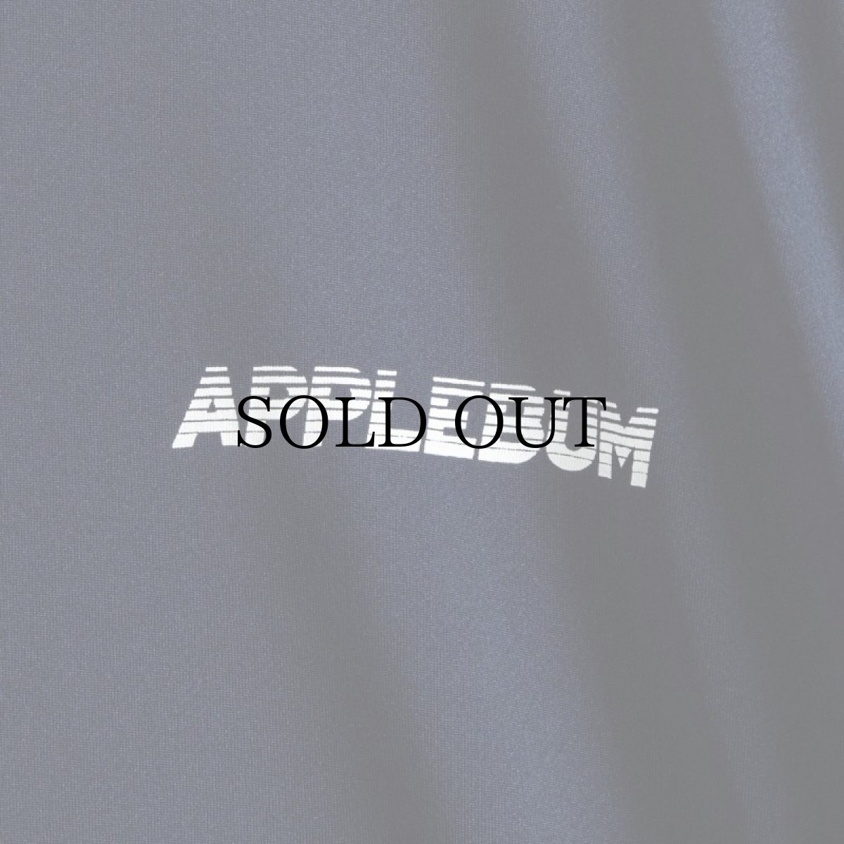 画像12: APPLEBUM(アップルバム) / ELITE PERFORMANCE L/S T-SHIRT (12)