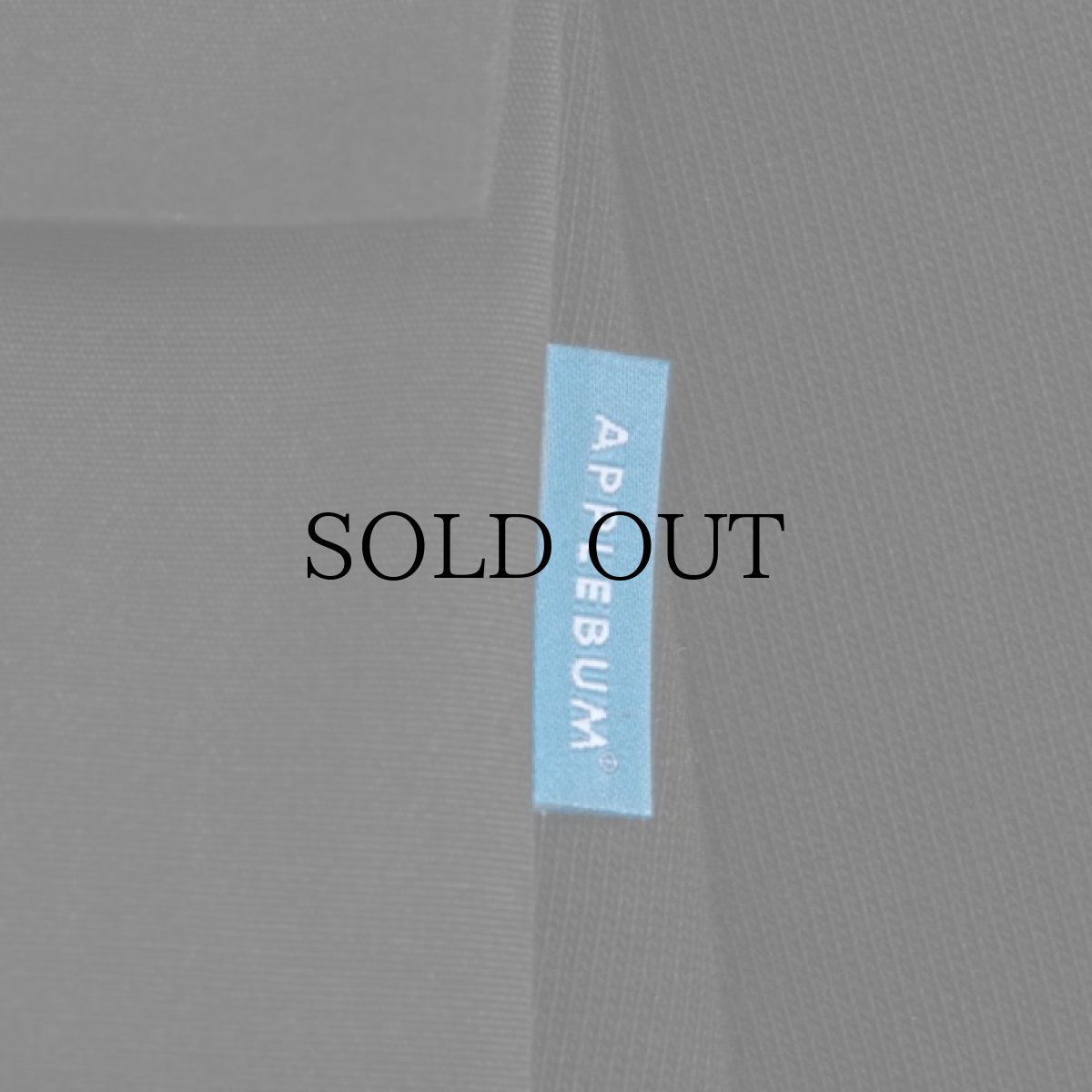 画像11: APPLEBUM(アップルバム) / BIG POCKET HEAVY WEIGHT L/S T-SHIRT (11)