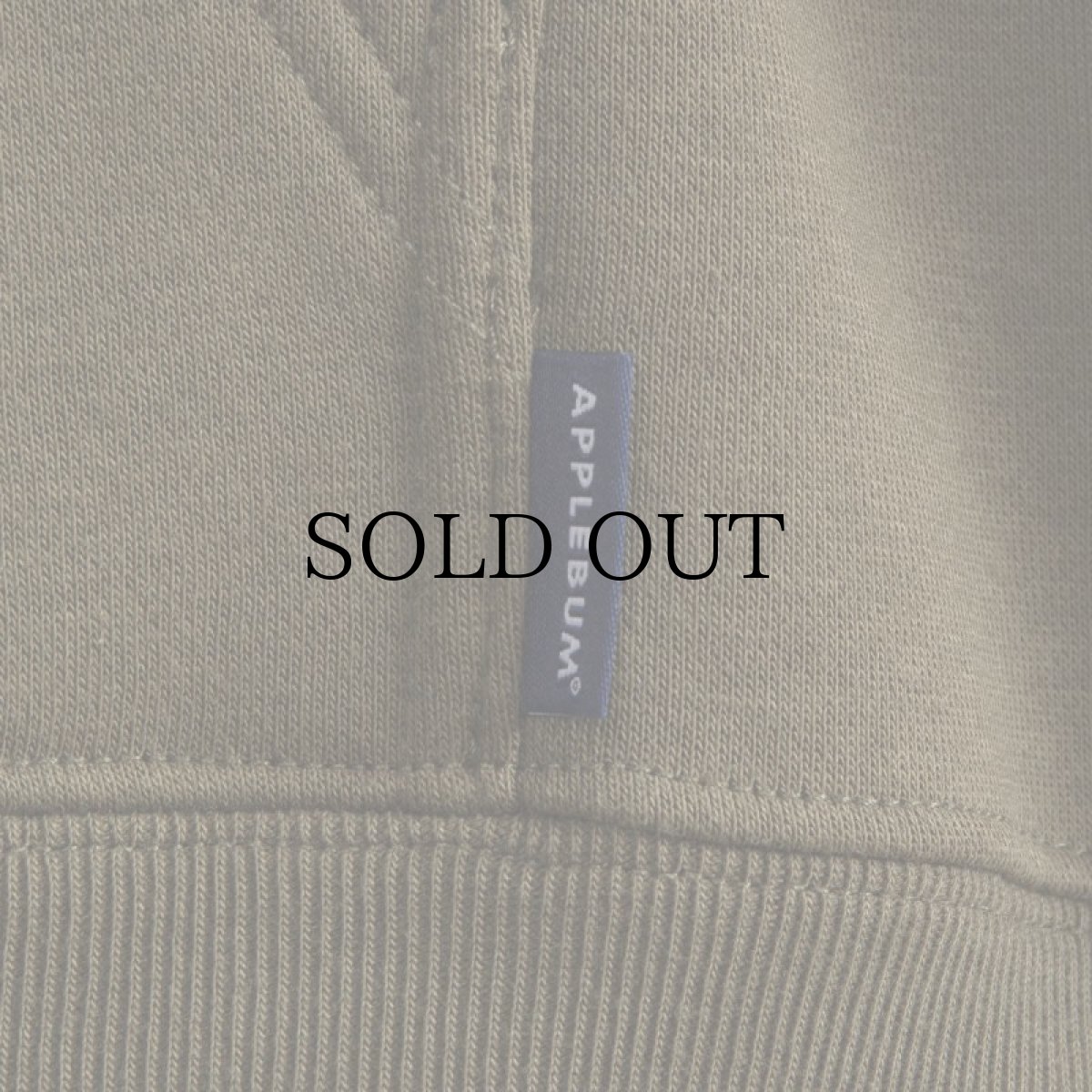 画像13: APPLEBUM(アップルバム) / REAL TREE CAMO AB SWEAT PARKA (13)