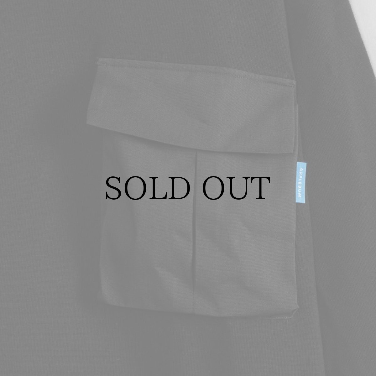 画像7: APPLEBUM(アップルバム) / BIG POCKET HEAVY WEIGHT L/S T-SHIRT (7)