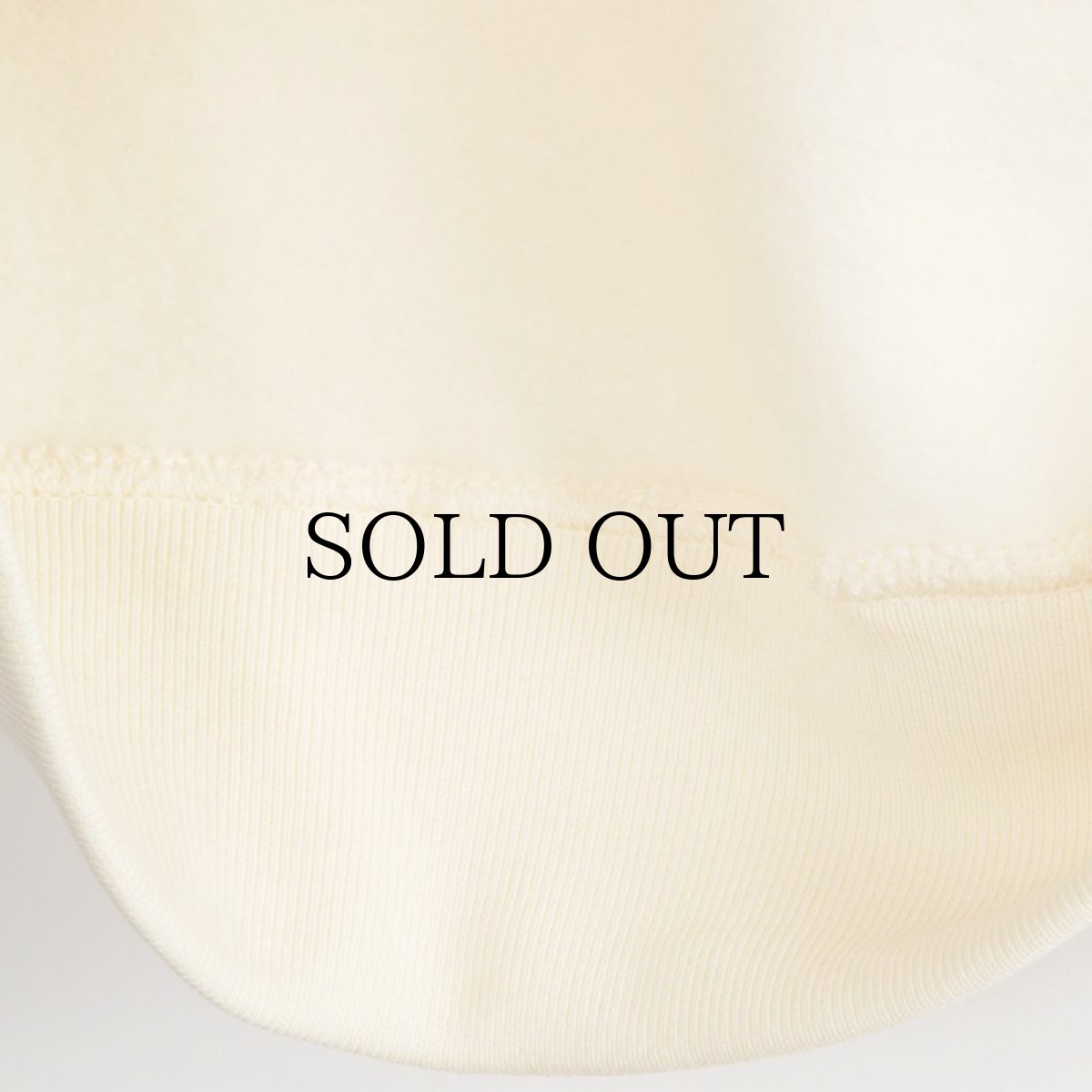 画像16: APPLEBUM(アップルバム) / REAL TREE CAMO AB SWEAT PARKA (16)