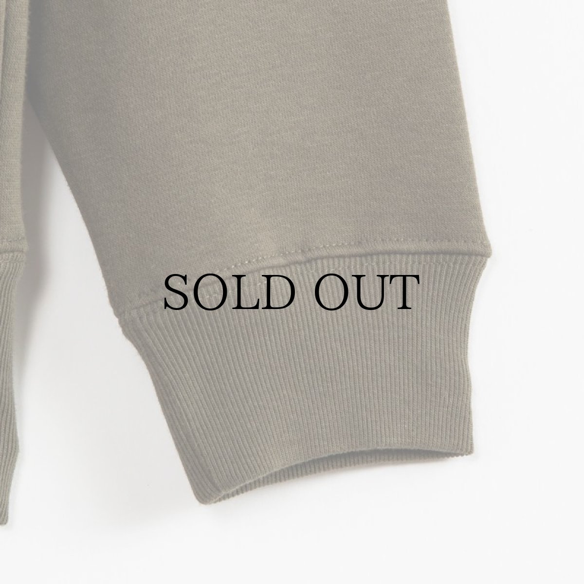 画像11: APPLEBUM(アップルバム) / REAL TREE CAMO AB SWEAT PARKA (11)