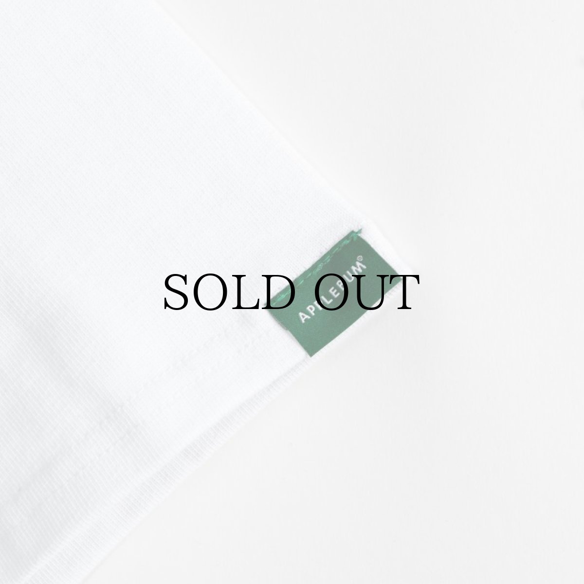 画像9: APPLEBUM(アップルバム) / MONOCHROME T-SHIRT (SPOT LIGHT) (9)