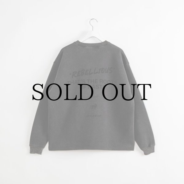 APPLEBUM(アップルバム) クルースウェット VINTAGE CREW SWEAT
