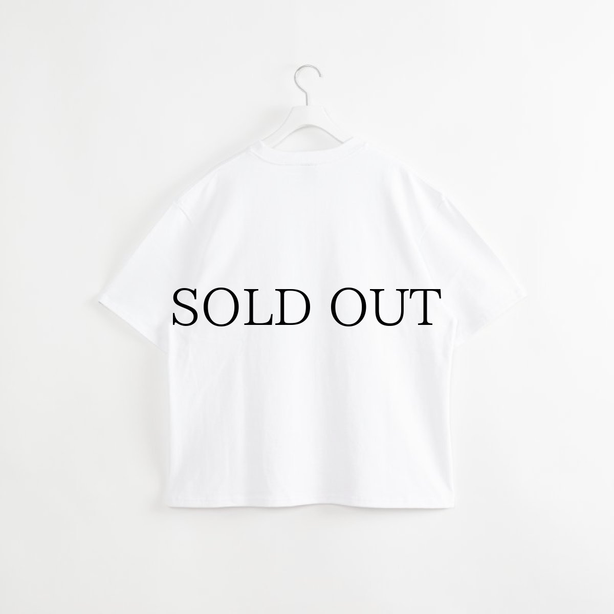 画像3: APPLEBUM(アップルバム) / MONOCHROME T-SHIRT (SPOT LIGHT) (3)