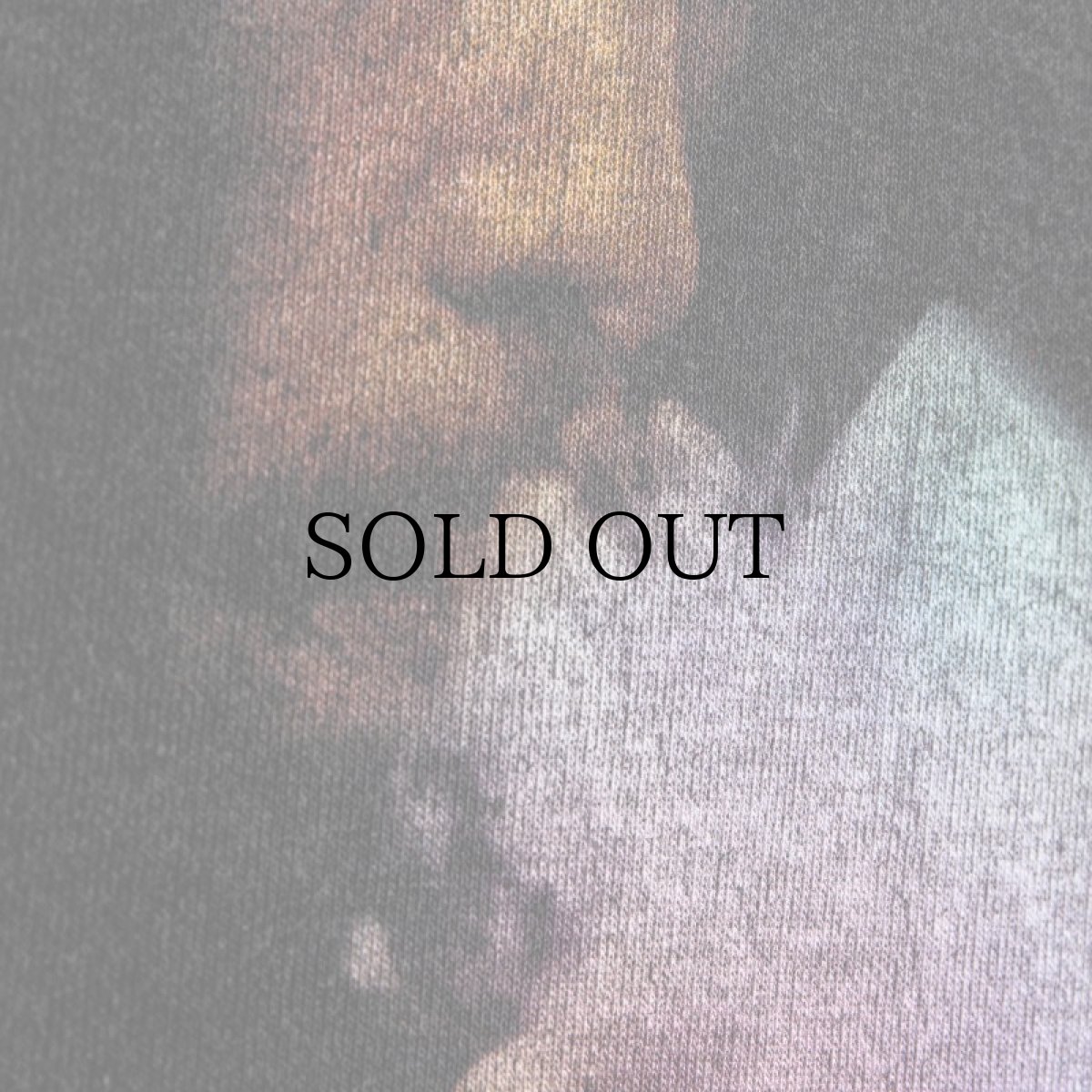 画像5: APPLEBUM(アップルバム) / VINTAGE CREW SWEAT (5)