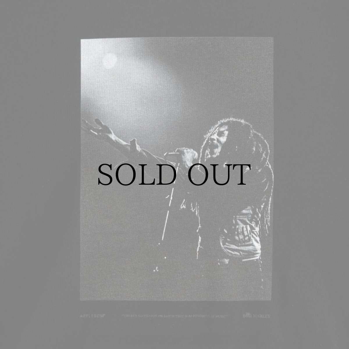 画像8: APPLEBUM(アップルバム) / MONOCHROME T-SHIRT (SPOT LIGHT) (8)