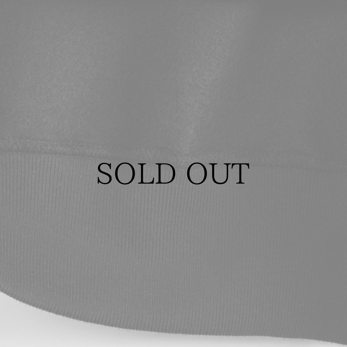 画像8: APPLEBUM(アップルバム) / "RECORD" SWEAT PARKA (8)