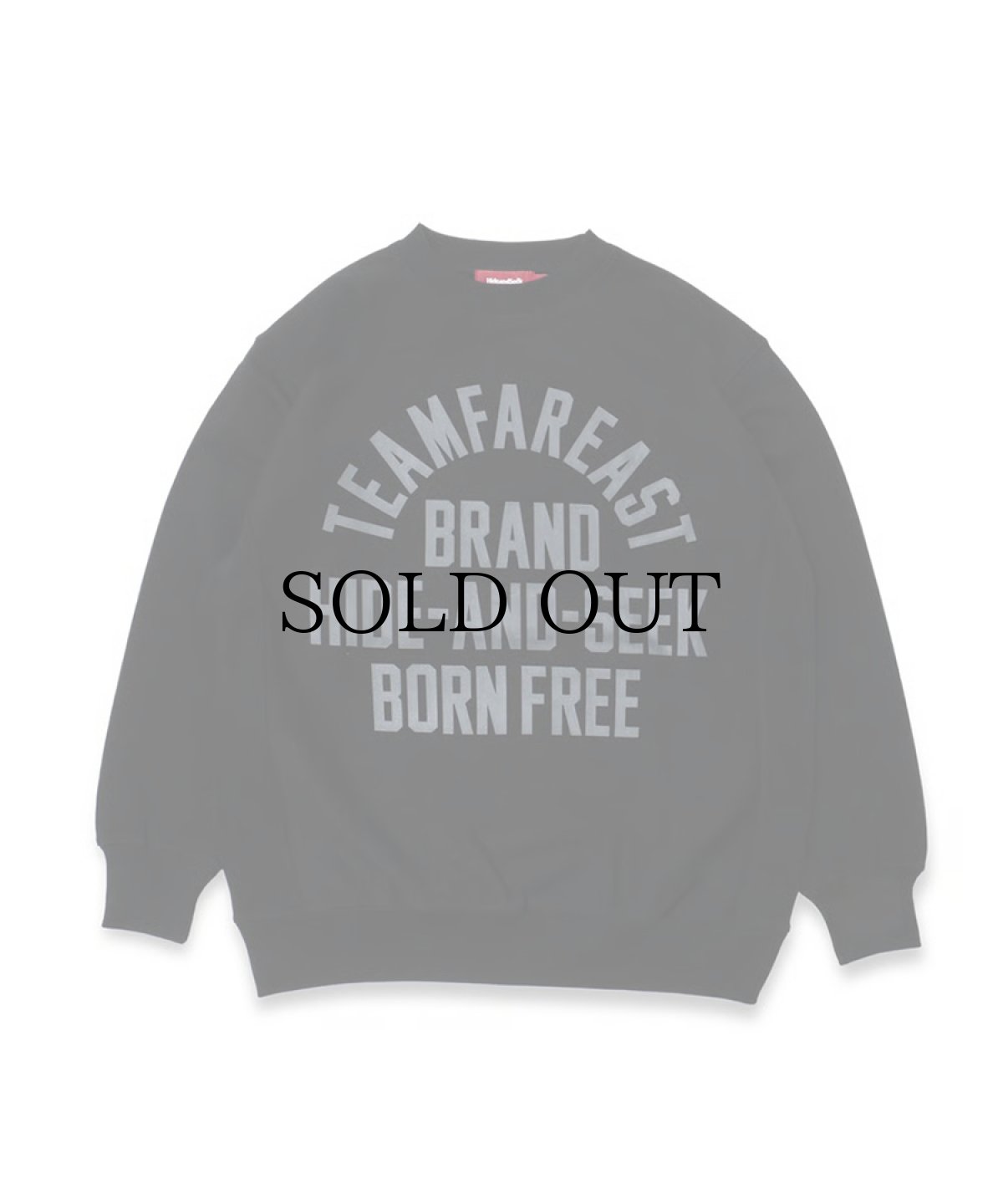 画像1: HIDEANDSEEK(ハイドアンドシーク) / College Sweat Shirt(24ss) (1)