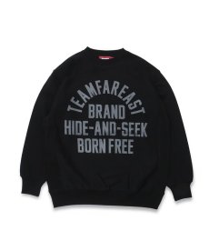 画像1: HIDEANDSEEK(ハイドアンドシーク) / College Sweat Shirt(24ss) (1)