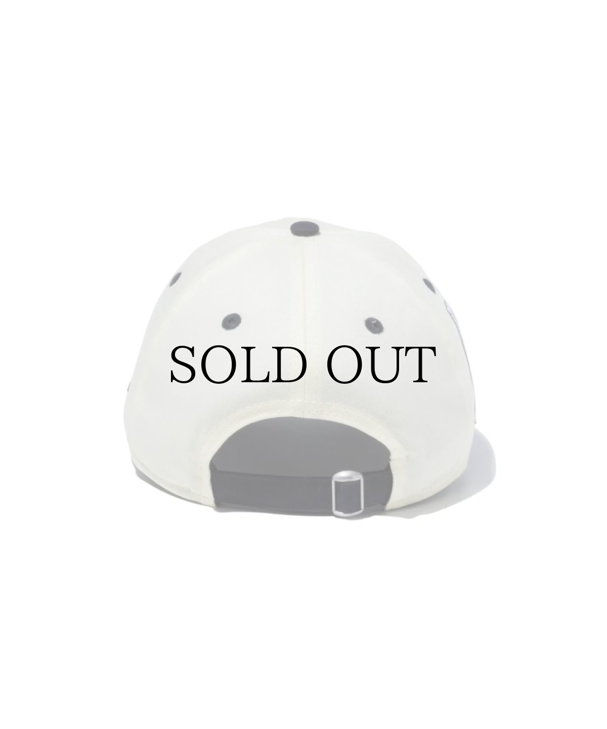 画像3: NEW ERA / 9TWENTY ANNA SUI (3)